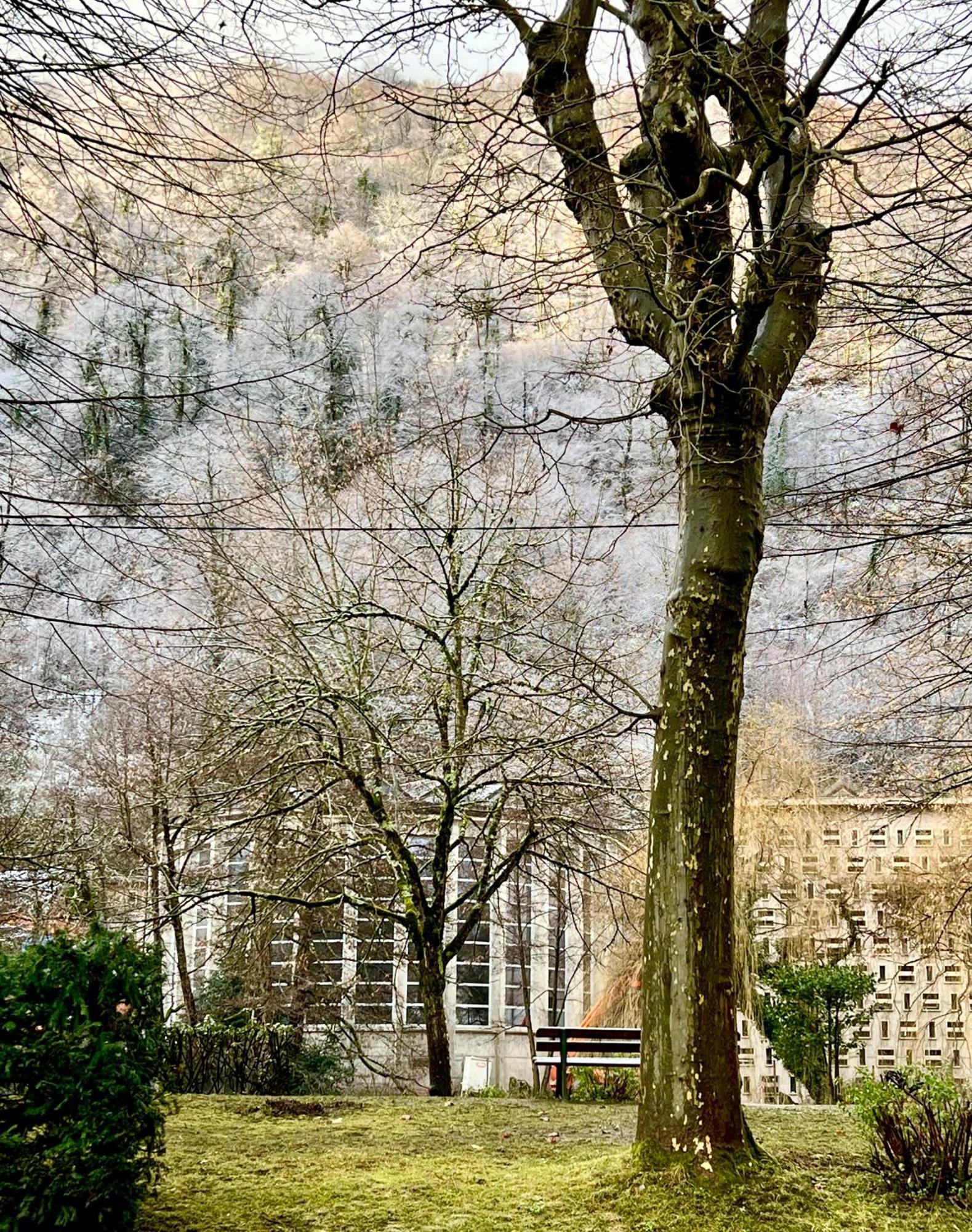 Fantastic Ground Floor Apartment Opposite Thermes Bagnères-de-Luchon エクステリア 写真