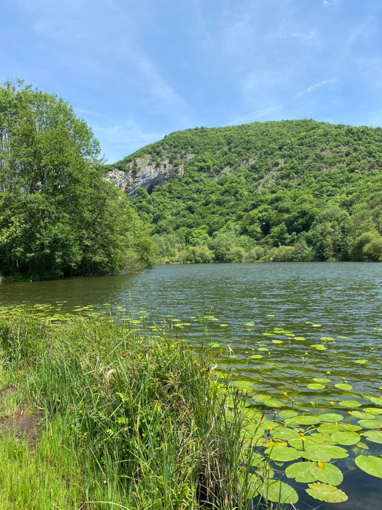 Fantastic Ground Floor Apartment Opposite Thermes Bagnères-de-Luchon エクステリア 写真